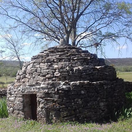 Family Friendly Holiday Home "Ana" Šibenik Exterior foto